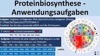 Proteinbiosynthese  KlausuraufgabenAnwendungsaufgaben Biologie Genetik Oberstufe [upl. by Salli]