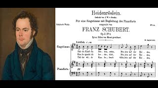 Franz Schubert  Heidenröslein Sheet music and lyrics [upl. by Adnerol]