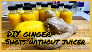 HOW TO MAKE GINGER SHOTS WITH A BLENDER No juicer [upl. by Rafael]