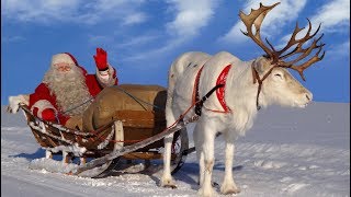 Santa Claus for kids 🦌🎅 Best reindeer rides of Father Christmas in Lapland Finland for children [upl. by Karina]