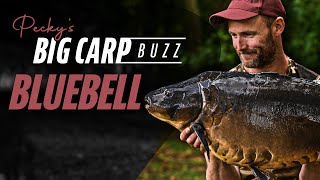 Pecky’s Big Carp Buzz  Bluebell Lakes Day Ticket Fishing  Korda 2021 [upl. by Ahsikal]