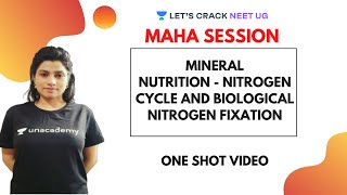 Mineral Nutrition  Nitrogen Cycle and Biological Nitrogen Fixation  NEET Biology  NEET 2020 [upl. by Nosyt]