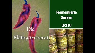 Gurkenschwemme Gurken fermentieren  Salzgurken milchsauer einlegen [upl. by Kissie]