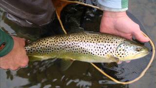 Catskills Fly Fishing [upl. by Tevlev]