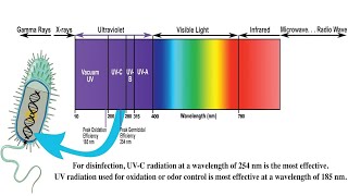 Understanding Ultraviolet UV Radiation and its Effects [upl. by Tamma181]