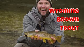 Big Horn Fly Fishing  Wyoming [upl. by Leilani]