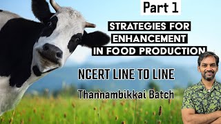 Strategies for enhancement in Food Production  Part 1  NCERT LINE TO LINE  Thannambikkai Batch [upl. by Adeline398]