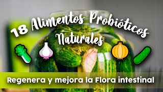 18 ALIMENTOS PROBIÓTICOS naturales  Regenera y mejora la Flora intestinal [upl. by Defant]