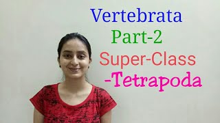 Tetrapoda  Vertebrata  Biological classification part 23  Class XILecture 51 [upl. by Llaccm546]