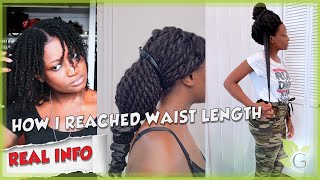 WAIST LENGTH REGIMEN  how to reach waist length REAL INFO [upl. by Heeley897]