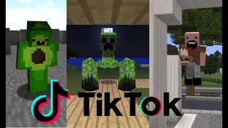 Avocados From Mexico 🥑⛏ Minecraft TIK TOK Compilation [upl. by Rhona272]