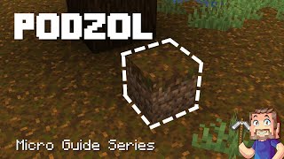 Podzol  Minecraft Micro Guide [upl. by Eselehs]