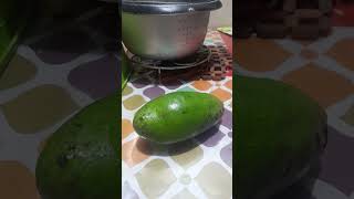 avocado from mexico [upl. by Bevus]