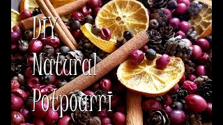 DIY  Make Your Own Holiday Potpourri [upl. by Aneerehs]