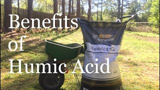 Many Benefits of HUMIC ACID on lawn  How to IMPROVE LAWN SOIL [upl. by Aloivaf]