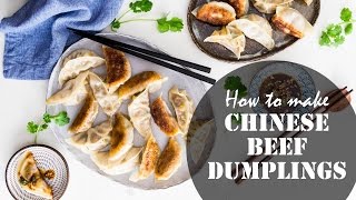 How to Make Chinese Beef Dumplings recipe 牛肉饺子 [upl. by Troc818]