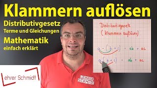 Klammern auflösen Distributivgesetz  Terme und Gleichungen  Mathematik  Lehrerschmidt [upl. by Ynej]