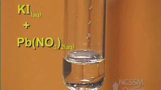 Double Displacement Lead Nitrate and Potassium Iodide [upl. by Wesle]