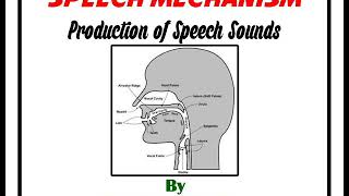 Production of Speech Sounds [upl. by Selig]