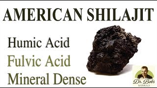 American Shilajit Understanding Humic and Fulvic Acids [upl. by Friedlander]