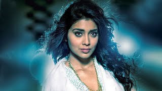 Temper 2  Shriya Saran  South Superhit Action Movie In Hindi  Vikram Ashish Vidyarthi Prabhu [upl. by Chlori268]