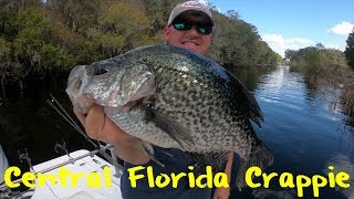 Central Florida Crappie Fishing [upl. by Aivan]