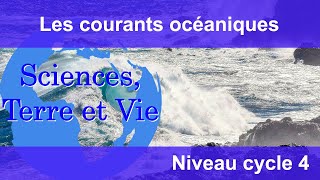 Les courants océaniques [upl. by Neellek]