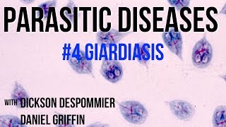 Parasitic Diseases Lectures 4 Giardiasis [upl. by Yojal]