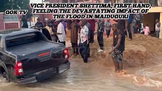 Story of Maiduguri Flooding [upl. by Barcot]