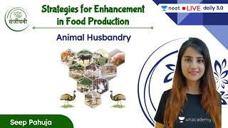 Animal Husbandry  Strategies for Enhancement in Food Production  L1  NEET 202223  Seep Pahuja [upl. by Morganne745]