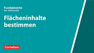 Flächeninhalte bestimmen  Fundamente der Mathematik  Erklärvideo [upl. by Seppala11]