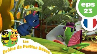 DRÔLES DE PETITES BÊTES  EP23  Linvité surprise [upl. by Santana]