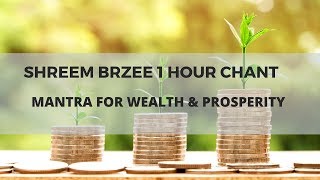 Shreem Brzee Mantra 1 Hour Chant  Mantra For Wealth Consciousness  Pillai Center [upl. by Antone]