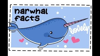 20 Fun Facts About Narwhals 🐋 [upl. by Melisent]