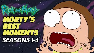 RICK AND MORTY The Mortyest Moments EVER Seasons 14 [upl. by Rosalba]