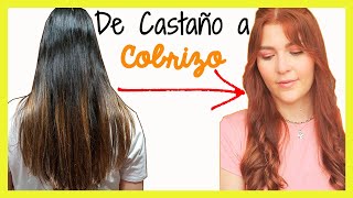 Cómo PINTAR el cabello COBRIZO💆‍♀️ SIN DECOLORAR 👩‍🦰 [upl. by Adile]