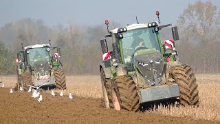 Fendt 942  939  NH T8435 SmartTrax  Maschio Gaspardo  Moro Aratri  SARDO [upl. by Parthen]