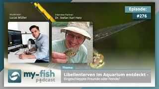 myfishorg  Libellenlarven im Aquarium entdeckt  Freunde oder Feinde Dr Stefan Karl Hetz [upl. by Plotkin]