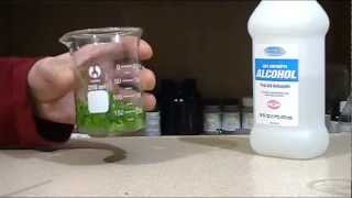 Extracting chlorophyll [upl. by Velda599]