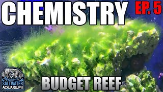 CHEMISTRY in a Budget Reef Tank  Nitrates Phosphates amp Alkalinity [upl. by Poll]