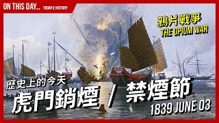 【歷史上的今天】18390603 虎門銷煙  禁煙節  《鴉片戰爭》The Opium War 的真實故事  XXY [upl. by Saul]