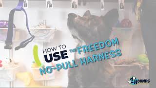 Freedom Harness  Adjustment and Fitting Instructions [upl. by Ellatnahc]