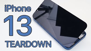 iPhone 13 Teardown  Full Disassembly [upl. by Brindle869]