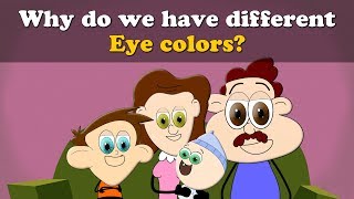 Why do we have different Eye colors  more videos  aumsum kids science education children [upl. by Settle47]