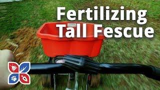 Do My Own Lawn Care  Fertilizing Tall Fescue Grass  Ep30 [upl. by Corso710]