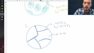 Drawing simple microstructures using the lever rule [upl. by Hecklau858]