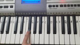 Baar baar din yeh aaye I Piano tutorial I Keyboard I Happy Birthday song I In Hindi I Slow and Easy [upl. by Iramaj]