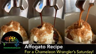 Affogato Recipe [upl. by Dominick623]