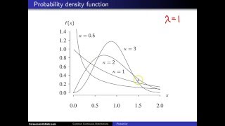 Weibull Distribution [upl. by Aihsenad853]