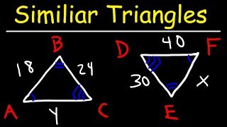 Similar Triangles [upl. by Idhem252]